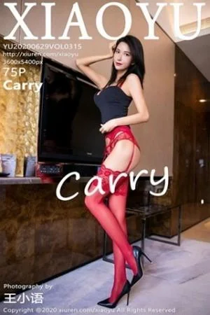 Carry私房猩红蕾丝内衣配吊带丝袜秀完美身材绝美写真
