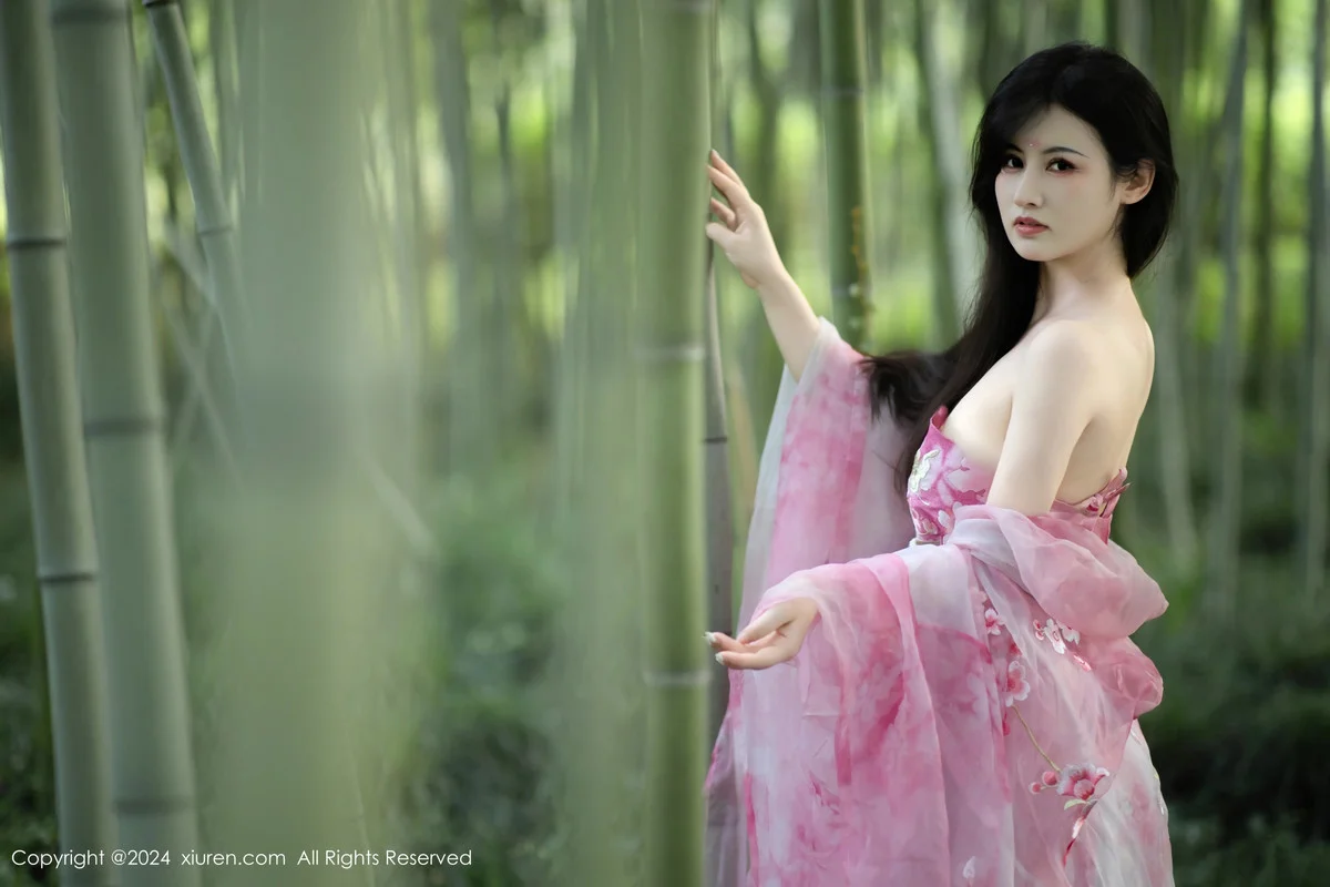诗诗kiki户外性感粉色古风薄纱服饰秀丰腴身姿惹火绝美写真 第 29 张