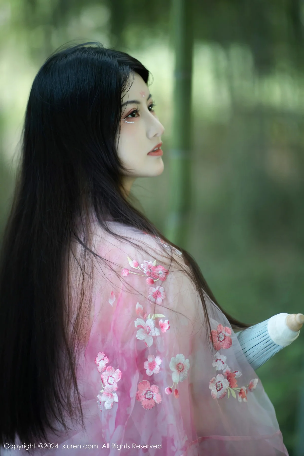 诗诗kiki户外性感粉色古风薄纱服饰秀丰腴身姿惹火绝美写真 第 3 张