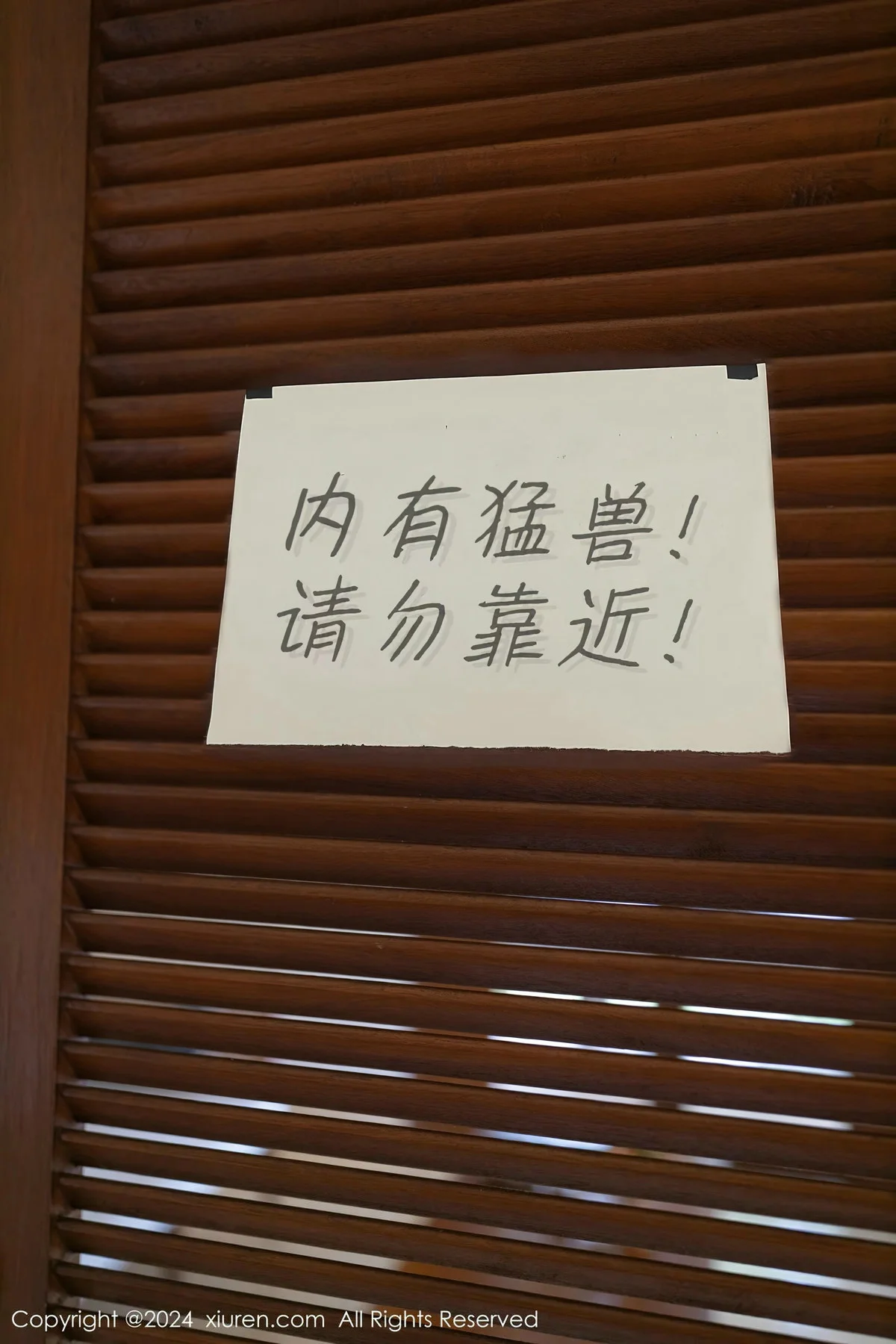 幼幼野兽装扮性感薄纱服饰配白丝网袜秀惹火身材绝美写真 第 1 张