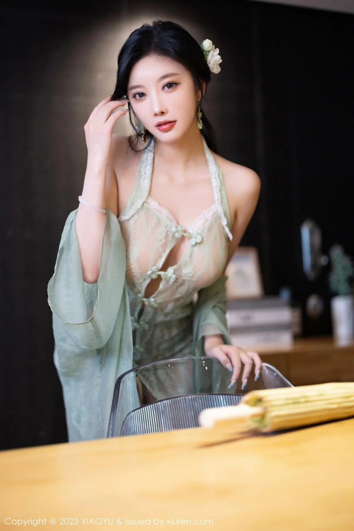 杨晨晨性感淡绿薄纱短裙露绿灰色蕾丝情趣服完美绝美写真 第 119 张