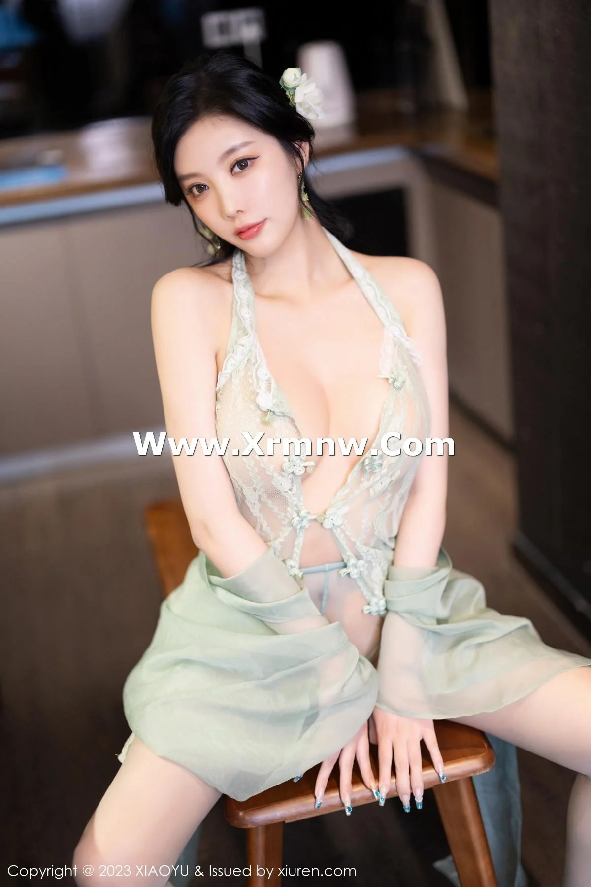 杨晨晨性感淡绿薄纱短裙露绿灰色蕾丝情趣服完美绝美写真 第 167 张