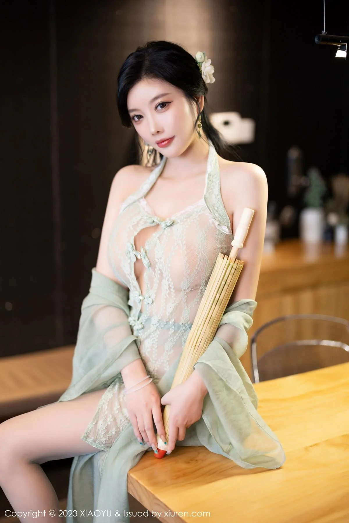 杨晨晨性感淡绿薄纱短裙露绿灰色蕾丝情趣服完美绝美写真 第 94 张