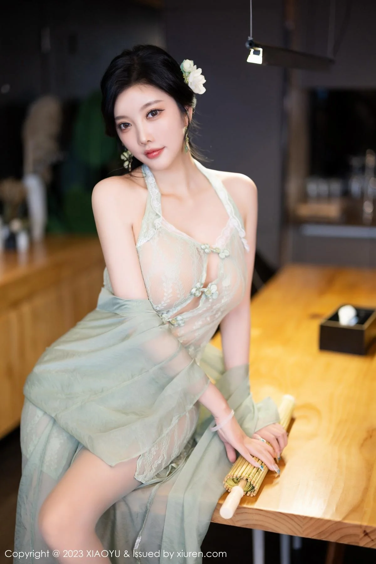 杨晨晨性感淡绿薄纱短裙露绿灰色蕾丝情趣服完美绝美写真 第 97 张