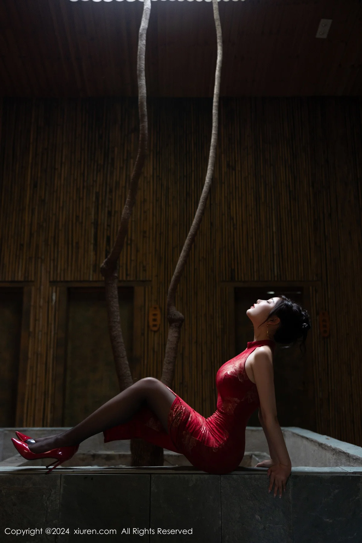 杨晨晨Yome性感红色长旗袍配黑丝吊袜秀丰腴身材绝美写真 第 15 张