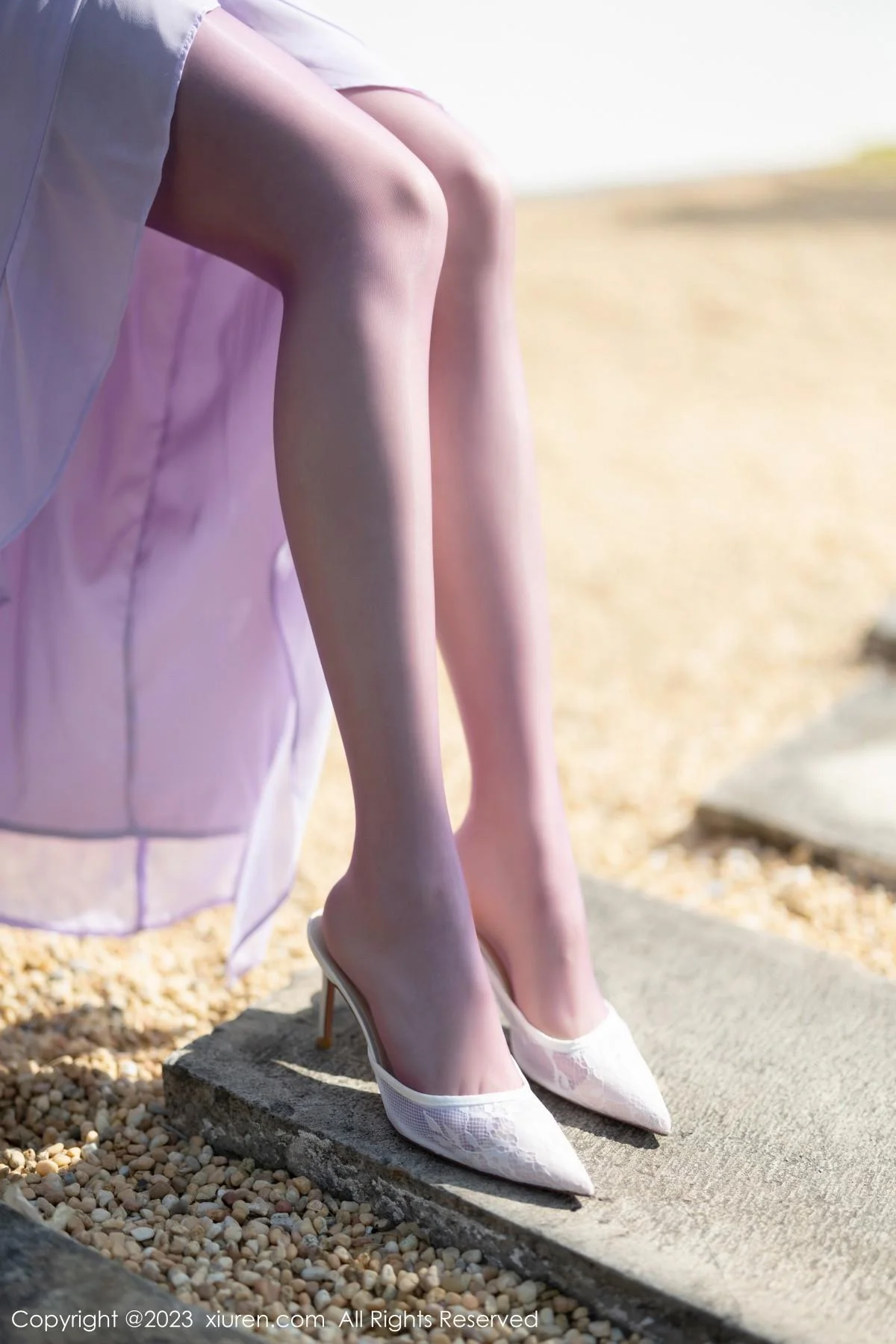 徐莉芝Booty淡紫色连衣长裙+淡蓝色网格内衣惹火绝美写真 第 4 张