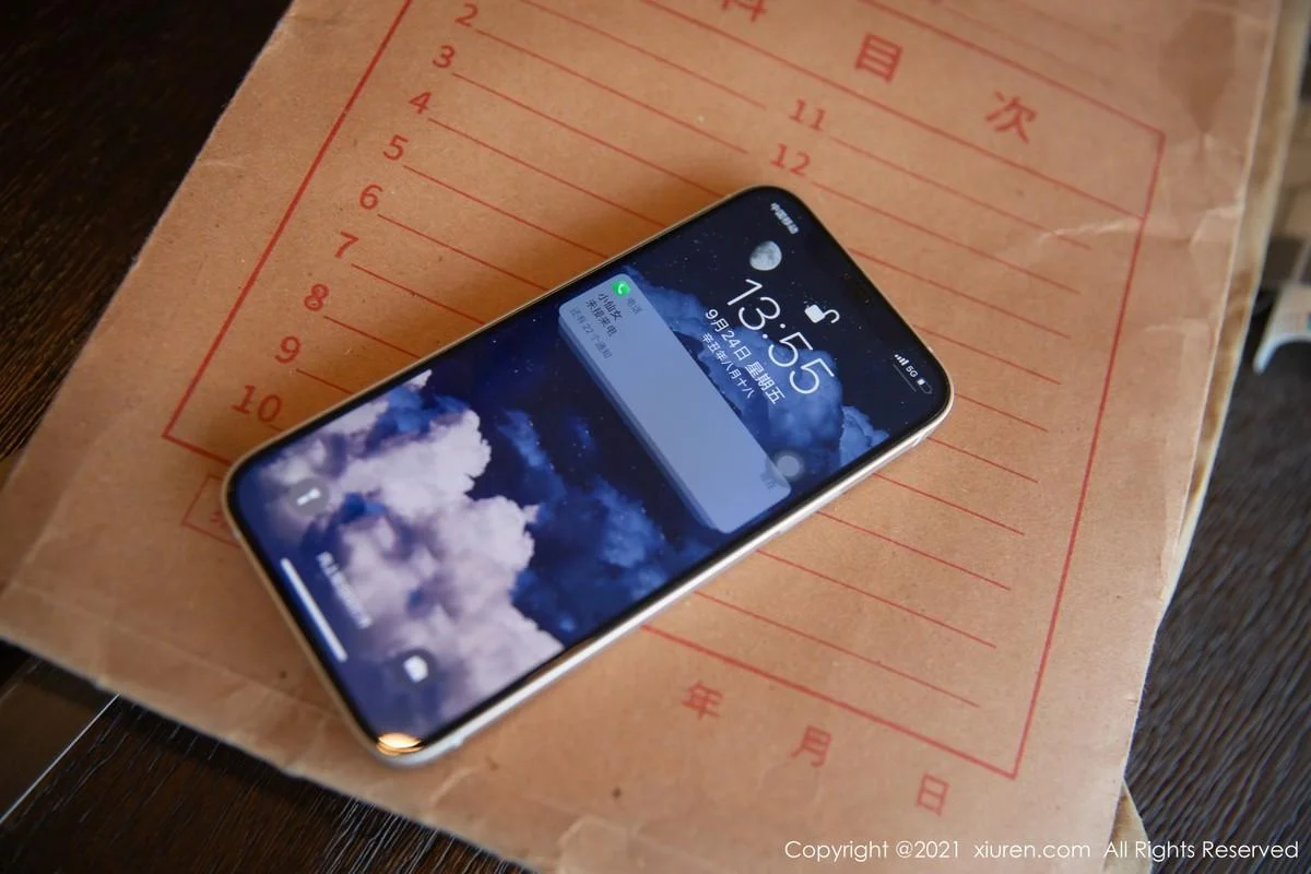杨晨晨Yome私房OL秘书制服半脱露无内肉丝极致绝美写真 第 25 张