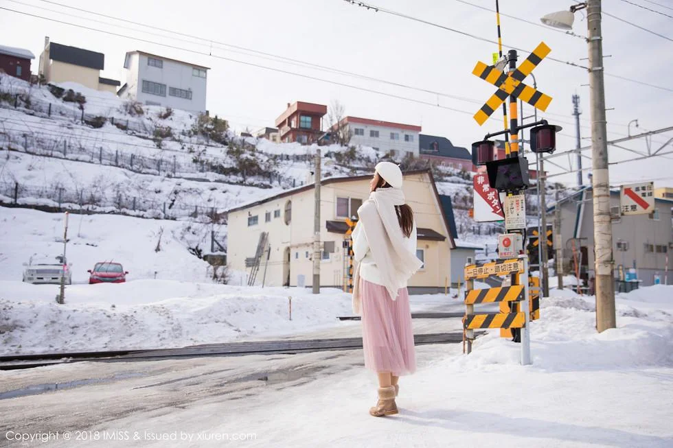 丽质美女猫宝北海道旅拍酒红色情趣内衣配吊带黑丝绝美写真 第 27 张