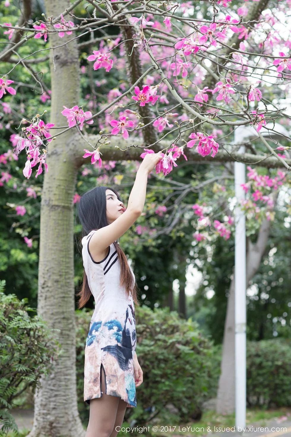 Winki丝女郎短旗袍+黑短裙黑丝袜系列美腿性感写真 第 2 张