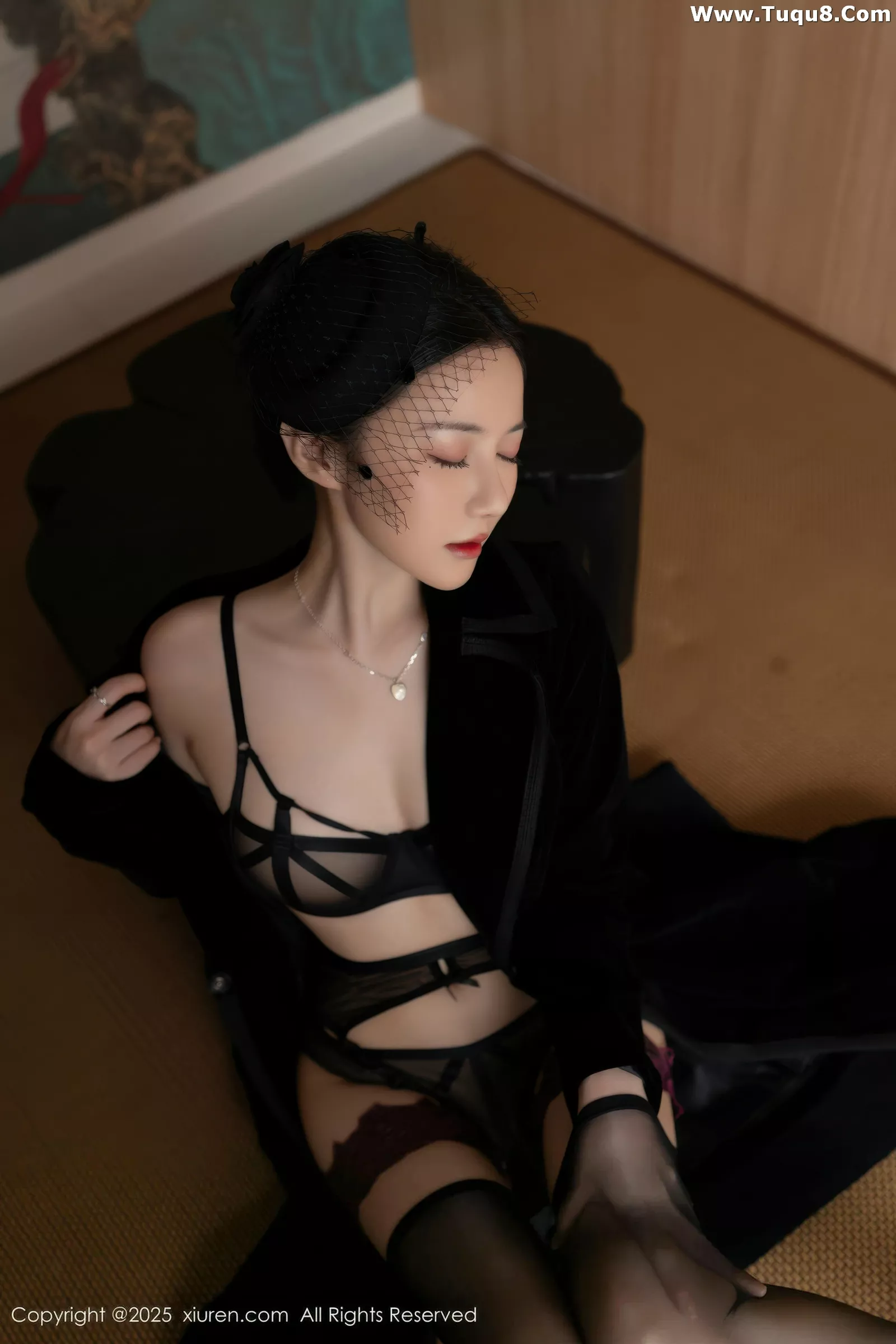鱼子酱Fish性感黑色情趣内衣配黑丝吊袜秀曼妙身姿绝美写真 第 21 张