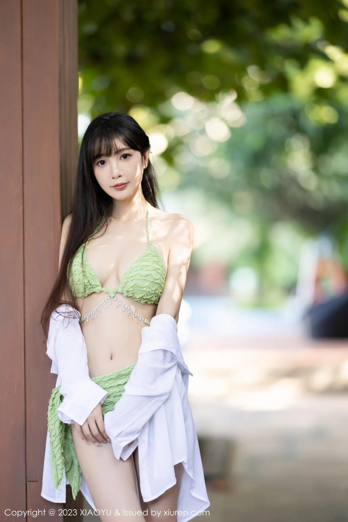 林星阑性感绿色比基尼服饰+灰色薄纱情趣服饰惹火绝美写真 第 14 张