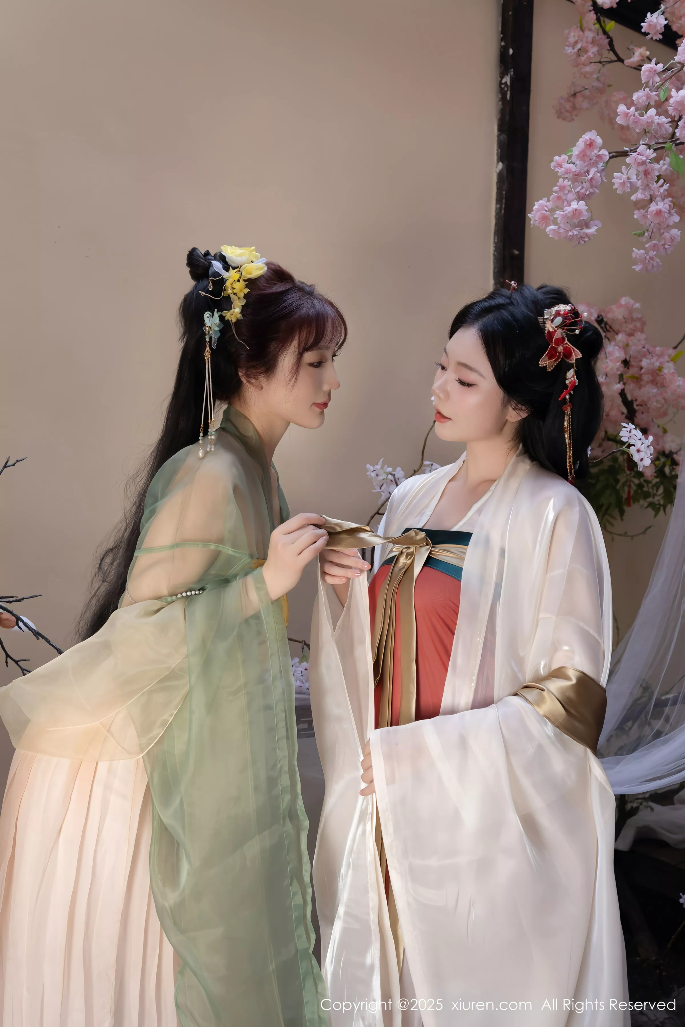 合集陆萱萱＆安然anran激情互动薄纱古装撩人绝美写真 第 5 张