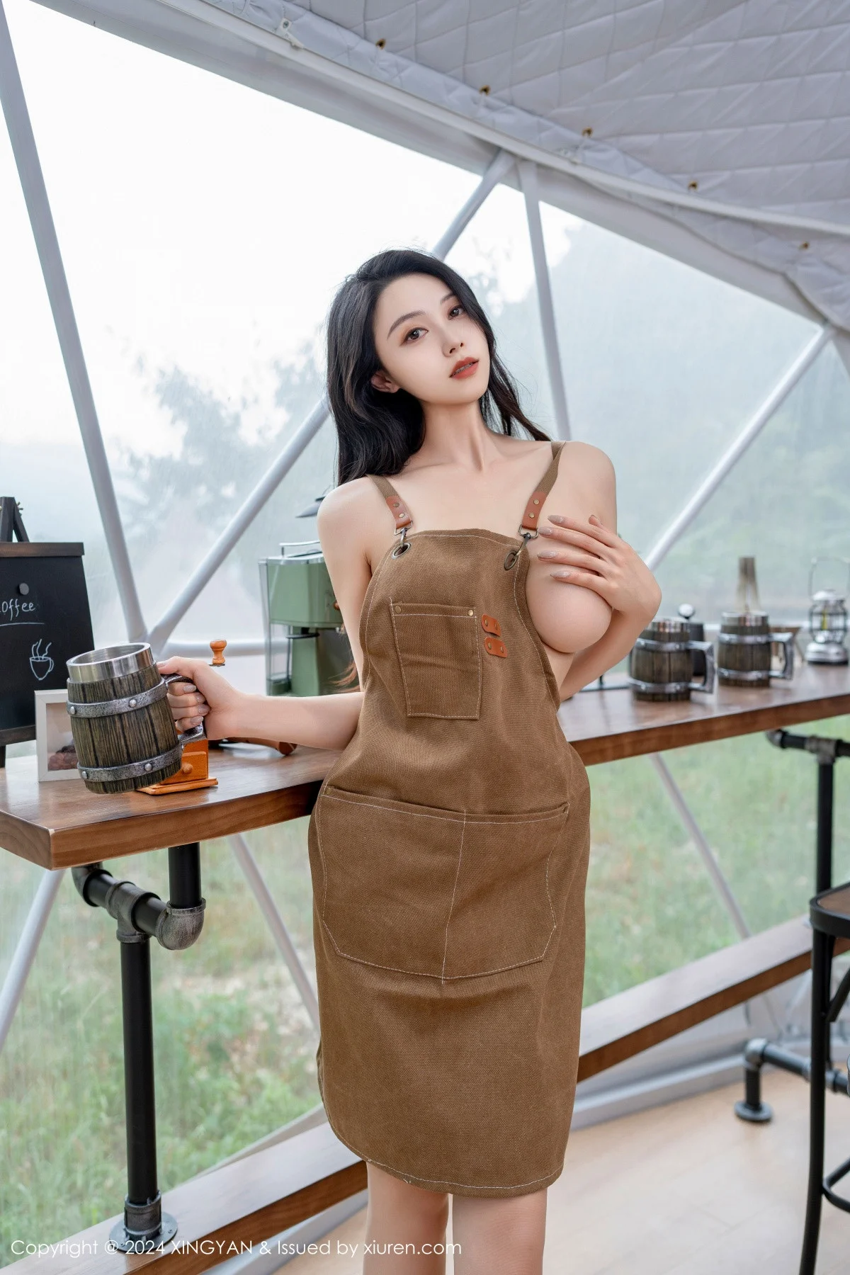 清妙性感咖啡色真空围裙配超薄肉丝秀完美身材绝美写真 第 11 张