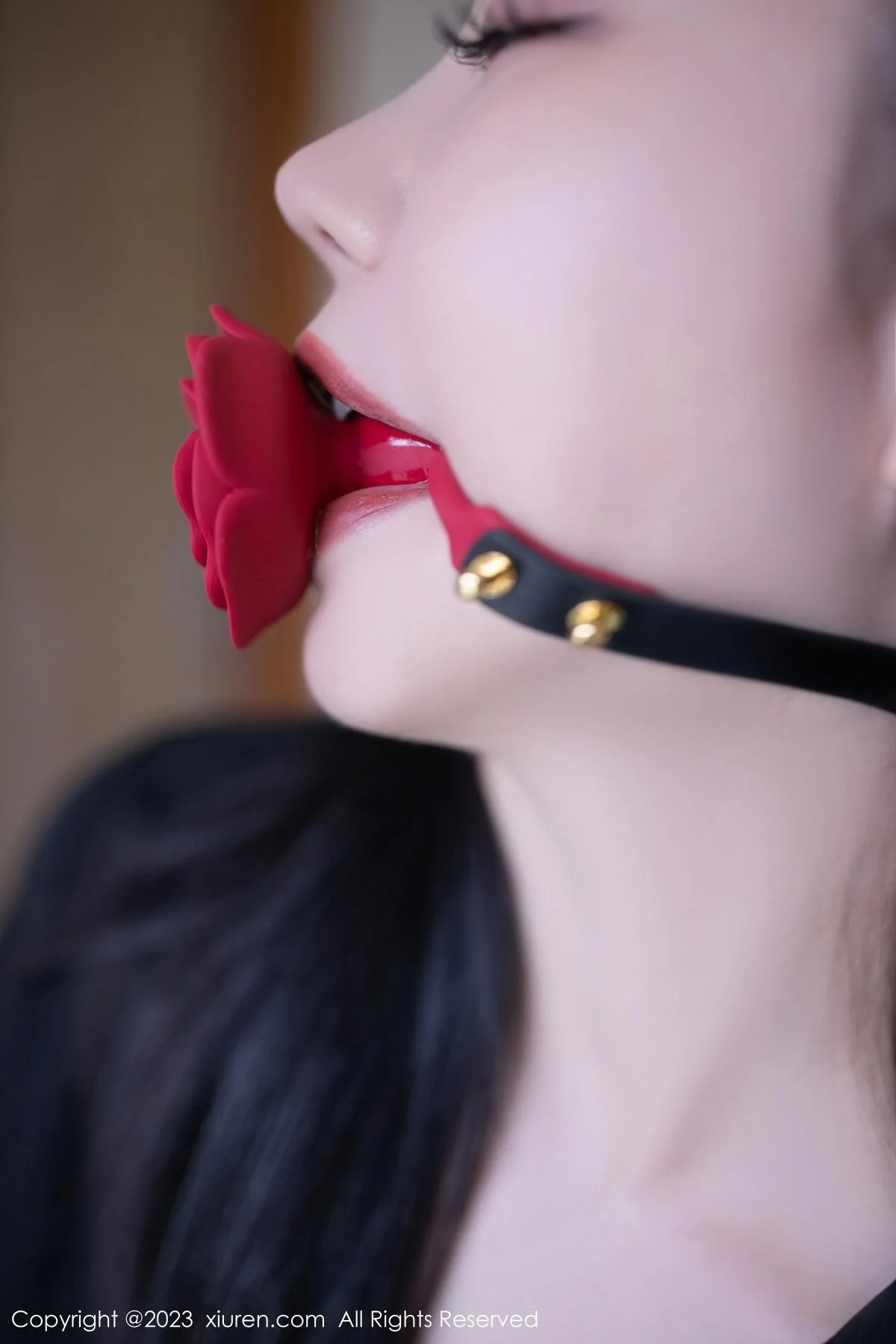 安然anran私房性感黑色内衣配黑丝吊袜秀曼妙身姿绝美写真 第 13 张