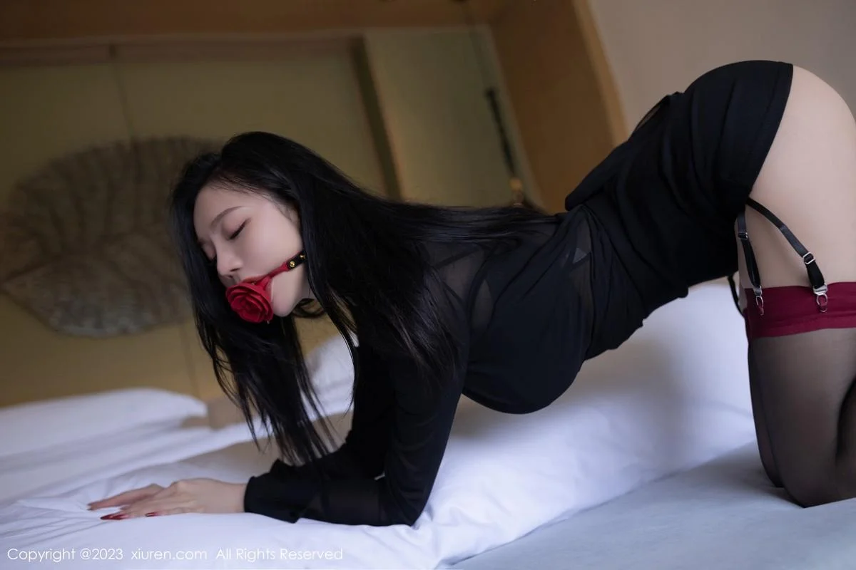安然anran私房性感黑色内衣配黑丝吊袜秀曼妙身姿绝美写真 第 15 张