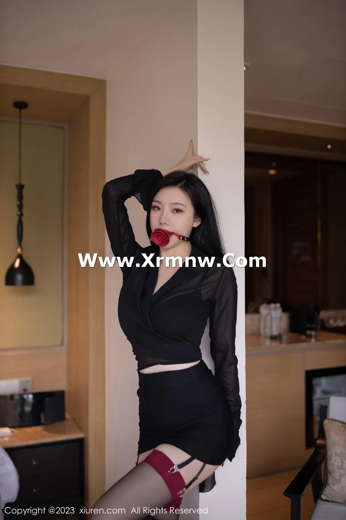 安然anran私房性感黑色内衣配黑丝吊袜秀曼妙身姿绝美写真 第 21 张