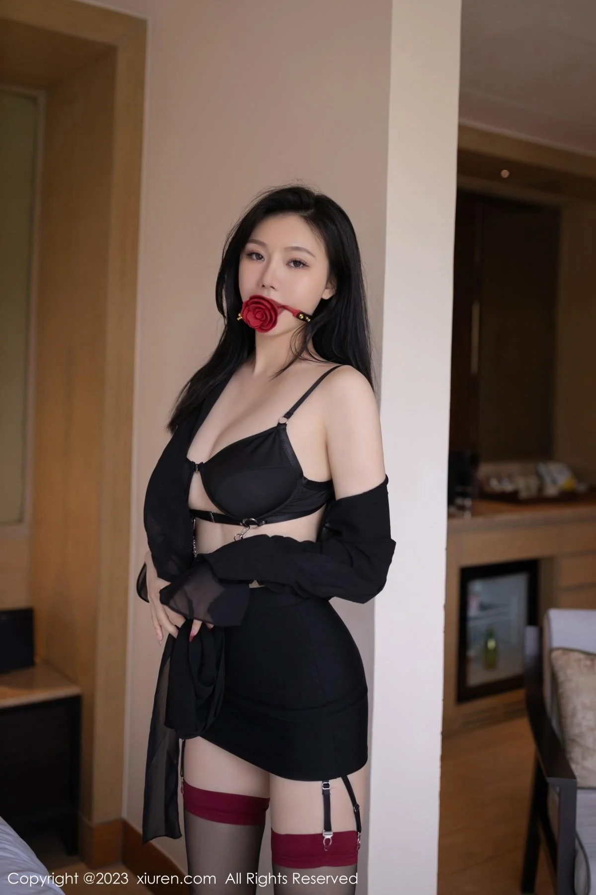 安然anran私房性感黑色内衣配黑丝吊袜秀曼妙身姿绝美写真 第 25 张