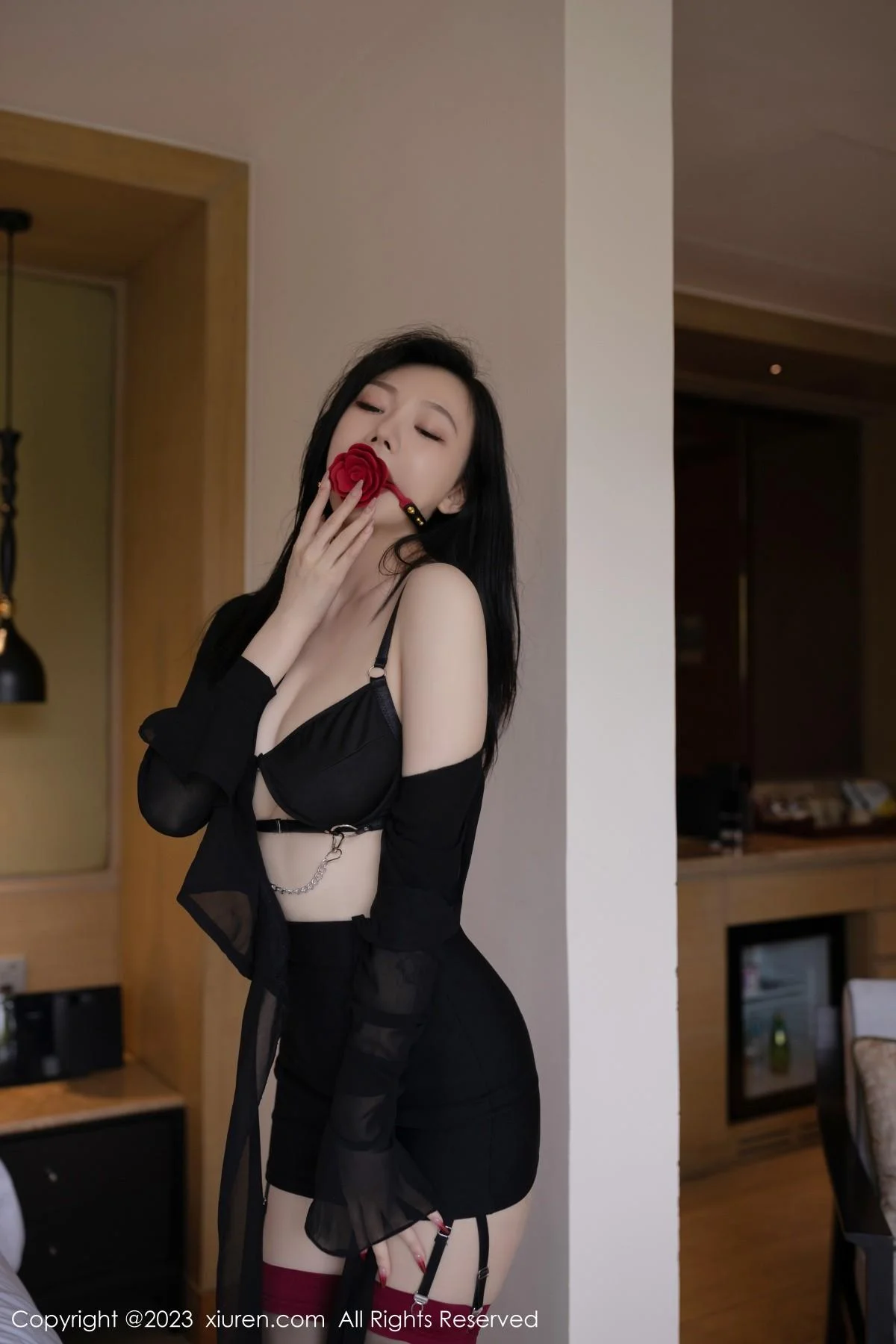 安然anran私房性感黑色内衣配黑丝吊袜秀曼妙身姿绝美写真 第 26 张
